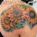 Tattoos - SUNFLOWERS - 68263